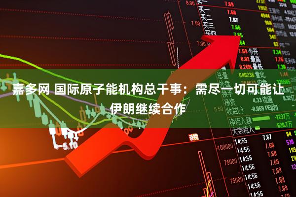 嘉多网 国际原子能机构总干事：需尽一切可能让伊朗继续合作