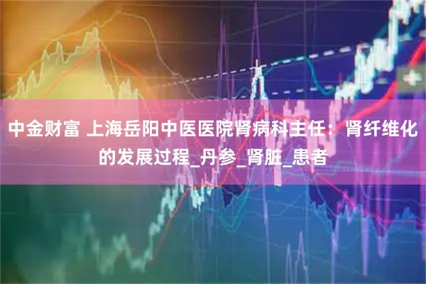 中金财富 上海岳阳中医医院肾病科主任：肾纤维化的发展过程_丹参_肾脏_患者