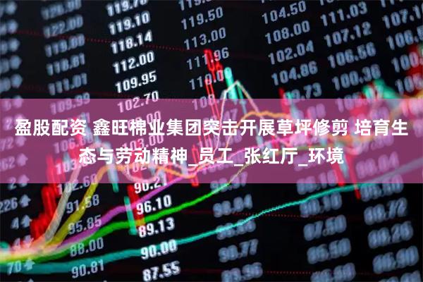 盈股配资 鑫旺棉业集团突击开展草坪修剪 培育生态与劳动精神_员工_张红厅_环境